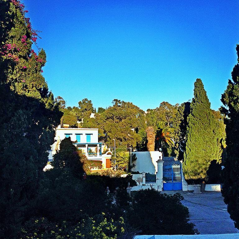 Villa Sidi Bou Ali エクステリア 写真